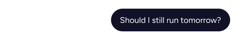 You: Should I still run tomorrow?